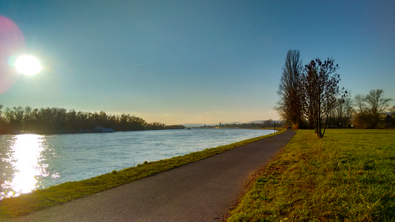 Солнечный день на Рейне