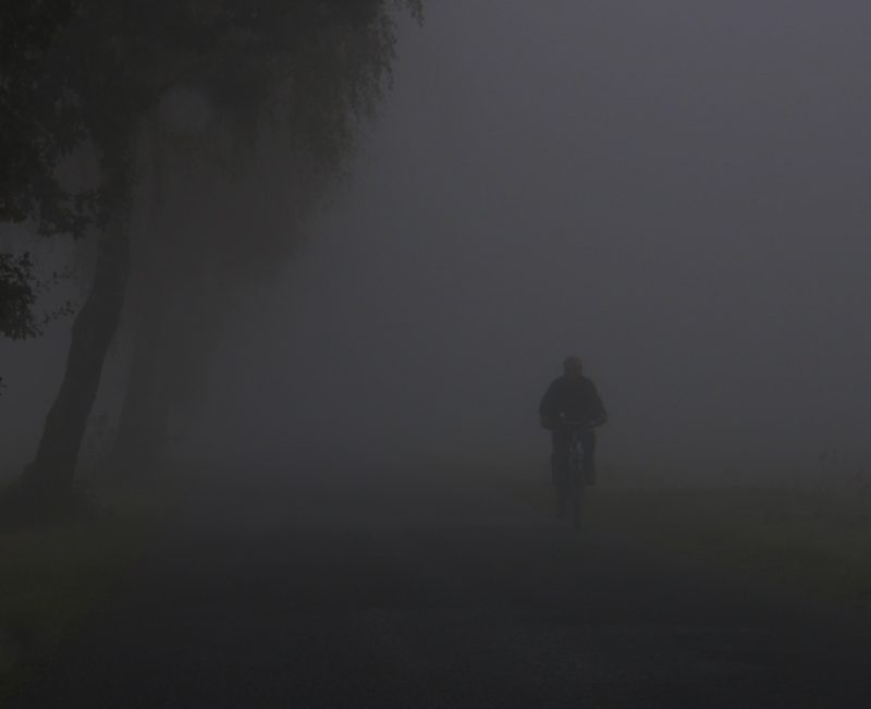 велосипедист туманный